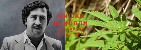 гидропоника Богданович