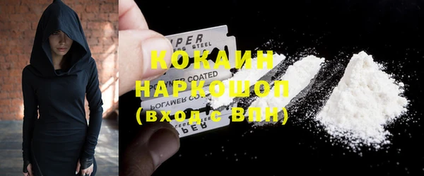 spice Богородск