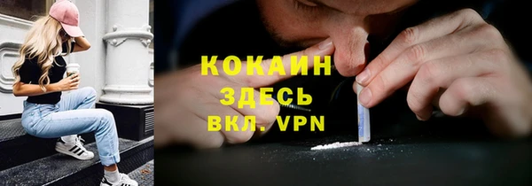 spice Богородск