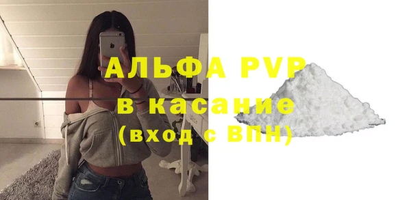 spice Богородск