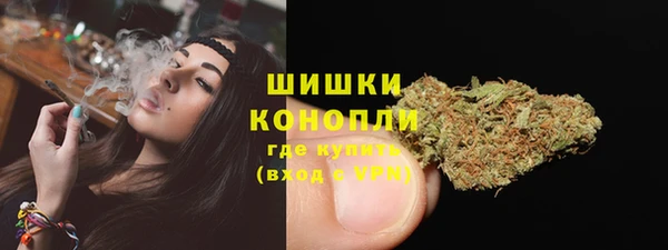 spice Богородск