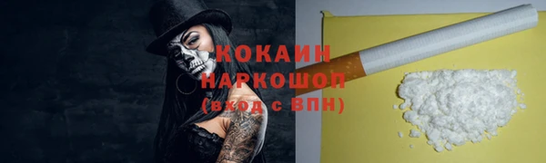 spice Богородск