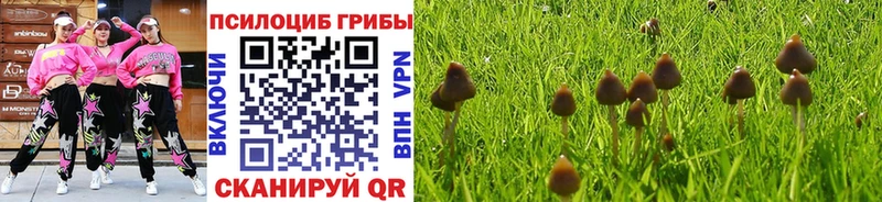 Псилоцибиновые грибы ЛСД OMG Бокситогорск